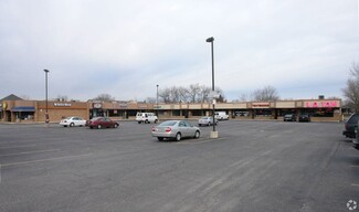 More details for 8100 W 111th St, Palos Hills, IL - Retail for Rent