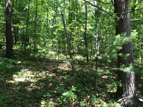 0 Lentz Trail, Jim Thorpe, PA for sale Primary Photo- Image 1 of 1