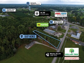 More details for adj. to 120 Wesley Avenue North, Cullman, AL - Land for Sale