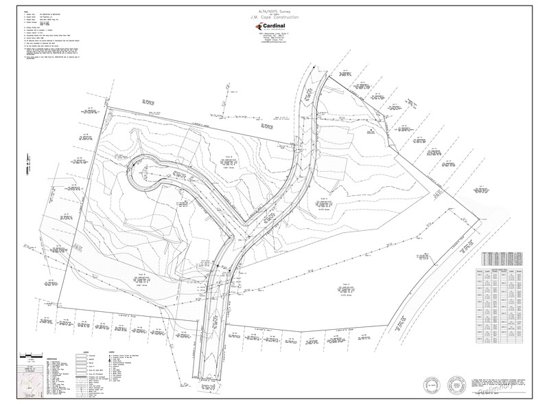 Rauch Street, Rock Hill, SC for sale - Site Plan - Image 2 of 3