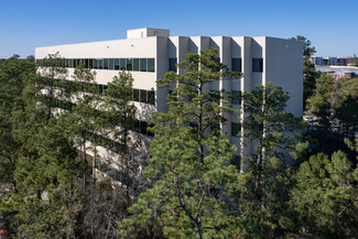 More details for 2002 Timberloch Pl, The Woodlands, TX - Office for Rent