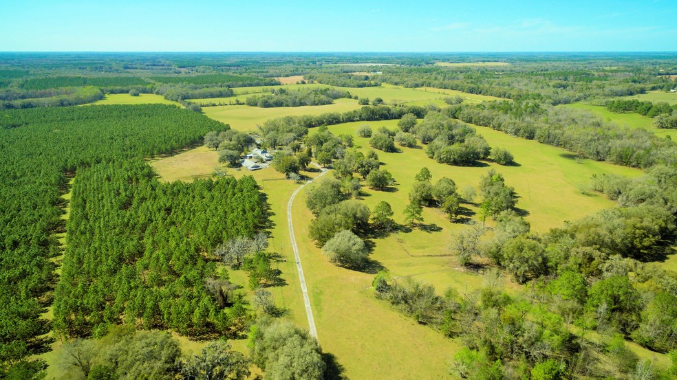 18828 NW CR 231, Gainesville, FL for sale - Primary Photo - Image 1 of 1