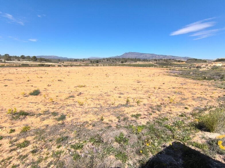 Land in Jumilla, Murcia for sale - Primary Photo - Image 1 of 4