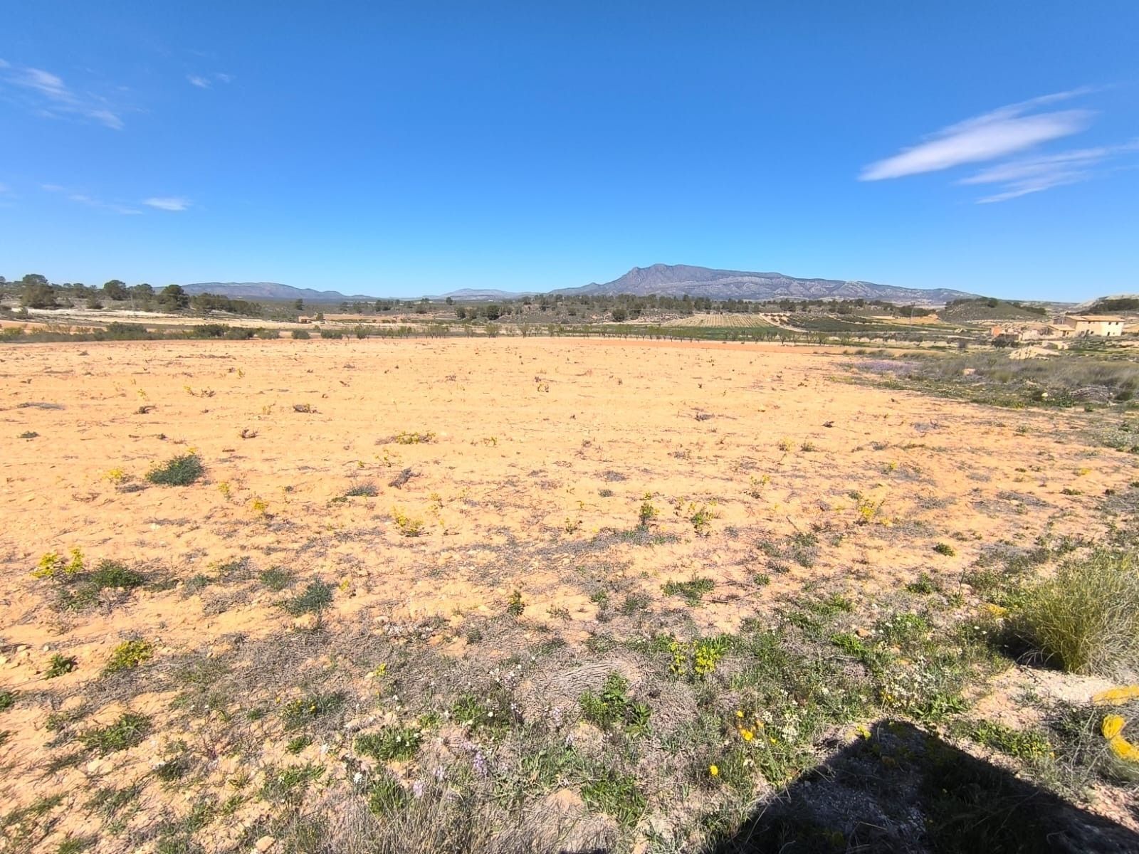 Land in Jumilla, Murcia for sale Primary Photo- Image 1 of 5