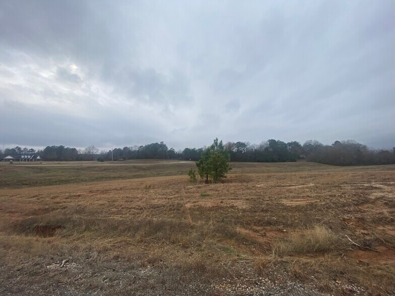 1200 Fawn Grove Road, Mantachie 38855 Land for Sale UK