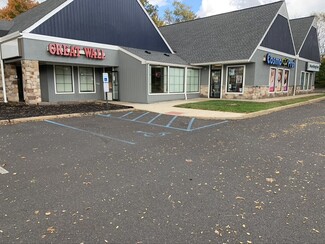 More details for 739-807 N Easton Rd, Doylestown, PA - Retail for Rent