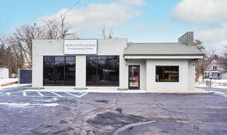 More details for 1382 Michigan Ave, Battle Creek, MI - Retail for Sale