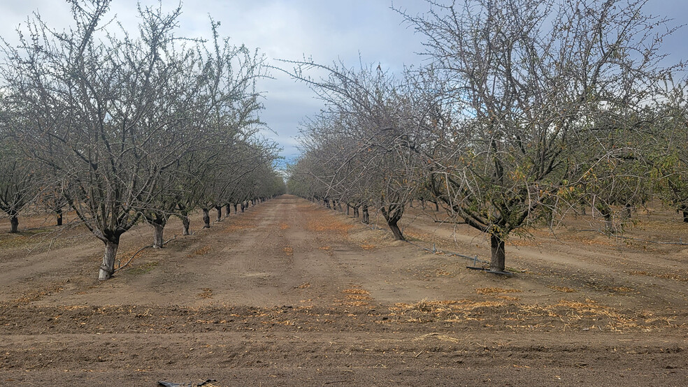 S. side of Jensen W. of S. Lake Ave. ave, Kerman, CA for sale - Primary Photo - Image 1 of 3