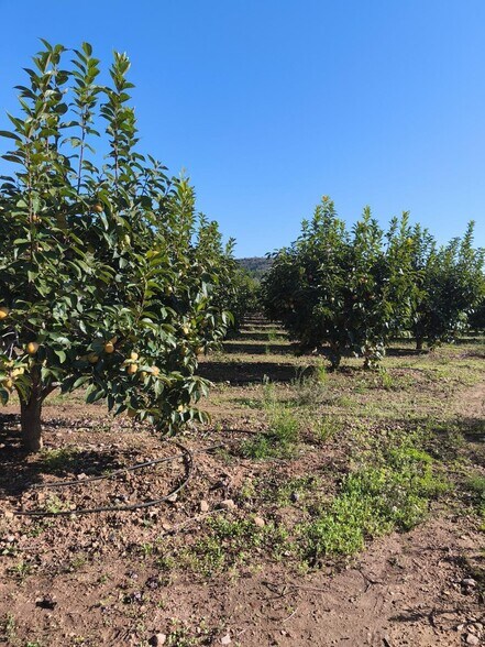 Land in València, Valencia for sale - Building Photo - Image 3 of 6