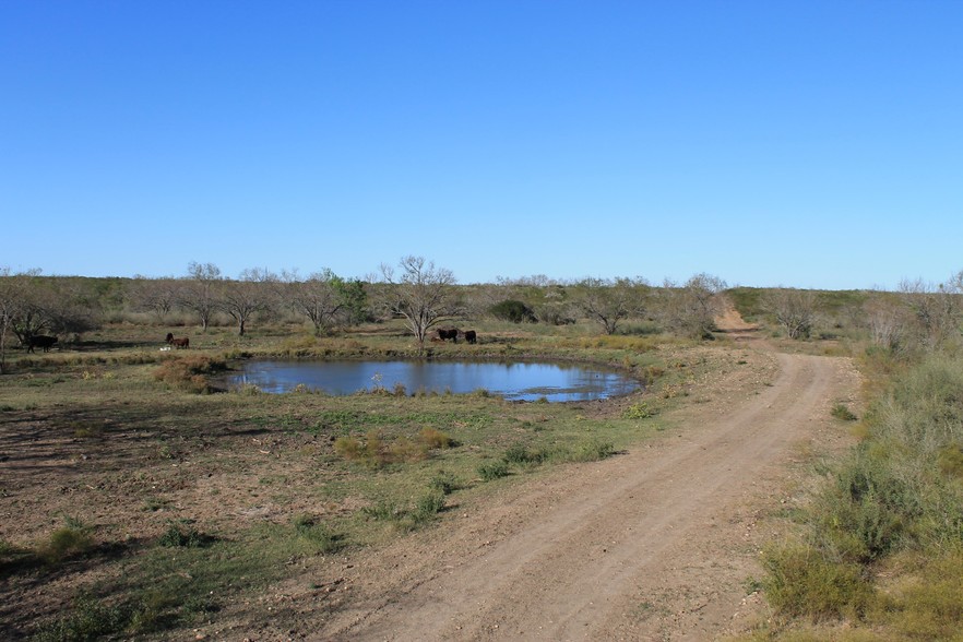 10333 FM 2779, Pearsall, TX for sale - Primary Photo - Image 1 of 1