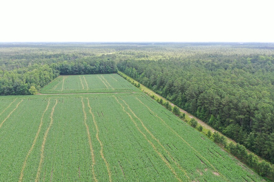 TBD Pelham Rd, Watha, NC for sale - Aerial - Image 3 of 23