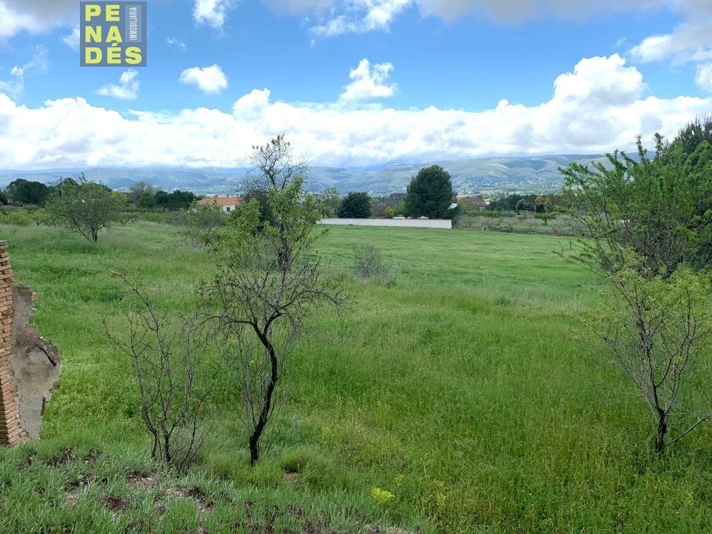 Land in València, Valencia for sale Aerial- Image 1 of 4