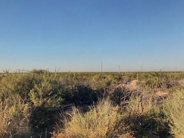 000 CR 2545, Coyanosa, TX for sale - Primary Photo - Image 1 of 4