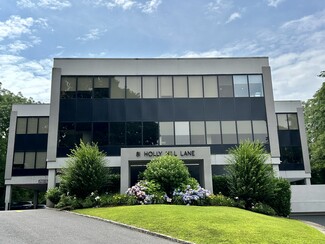 More details for 81 Holly Hill Ln, Greenwich, CT - Office for Rent