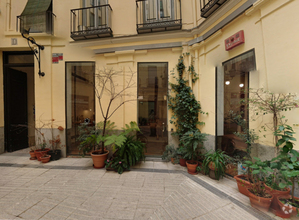 Calle Del Conde De Romanones, 5, Madrid, Madrid for rent Interior Photo- Image 2 of 2