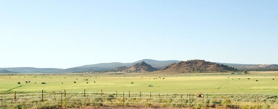 21441 Skeen Ranch Rd, Sprague River, OR for sale - Primary Photo - Image 1 of 1