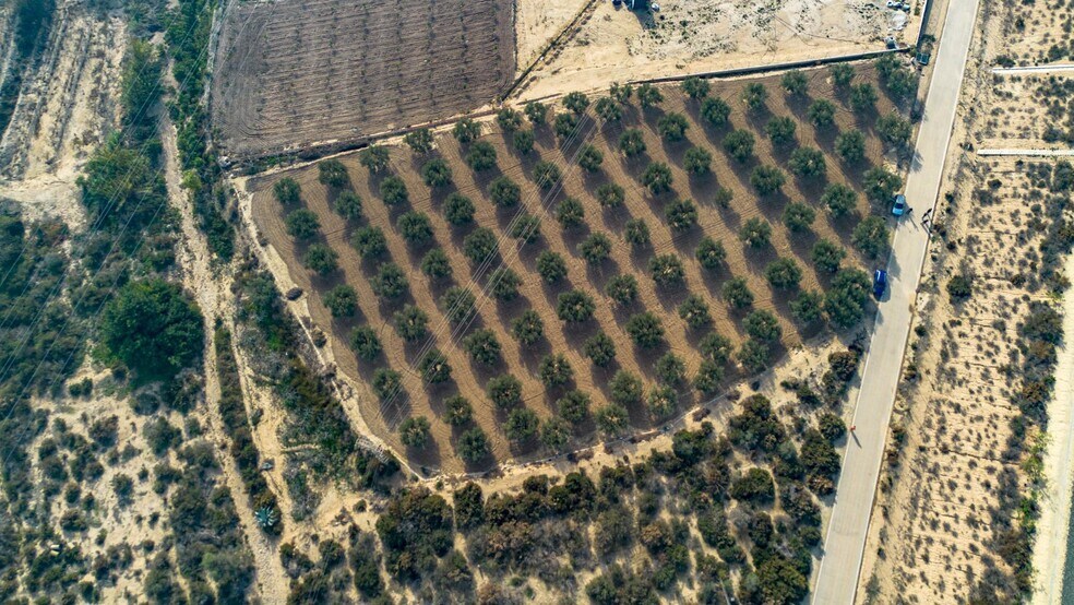 Parcela, 16, Crevillent, Alicante for sale - Building Photo - Image 3 of 7