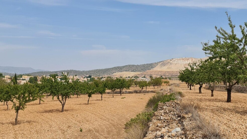 Land in Algueña, Alicante for sale - Aerial - Image 3 of 8