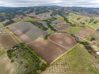 More details for 2137 Live Oak Rd, Paso Robles, CA - Land for Sale