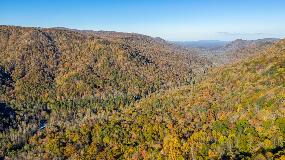 1640 Green River Cove Rd, Saluda, NC for sale - Primary Photo - Image 1 of 1