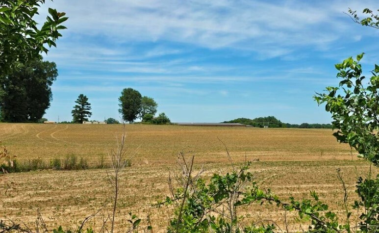 Shands Bottom Road, Senatobia, MS for sale - Primary Photo - Image 1 of 4