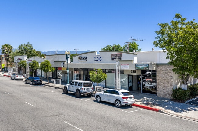 More details for 219-231 S Riverside Ave, Rialto, CA - Retail for Auction
