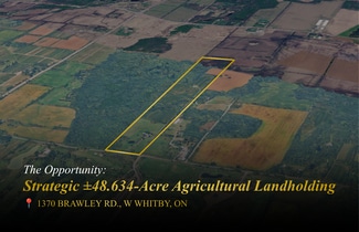 More details for 1370 Brawley W rd, Ashburn, ON - Land for Sale