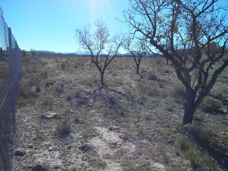 Land in Calasparra, Murcia for sale - Site Plan - Image 3 of 4
