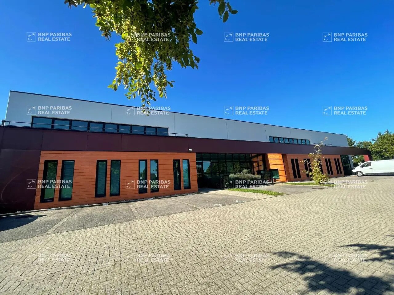 11 Rue De Copenhague, Schiltigheim to rent Primary Photo- Image 1 of 17