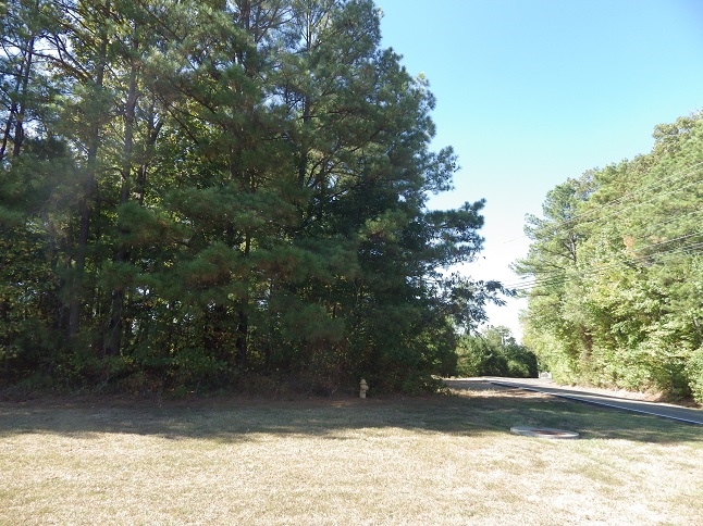 Holly Hills Rd $ Hwy 45 N, Columbus, MS for sale - Building Photo - Image 1 of 1