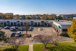 More details for 250 S Gary Ave, Bloomingdale, IL - Retail for Rent