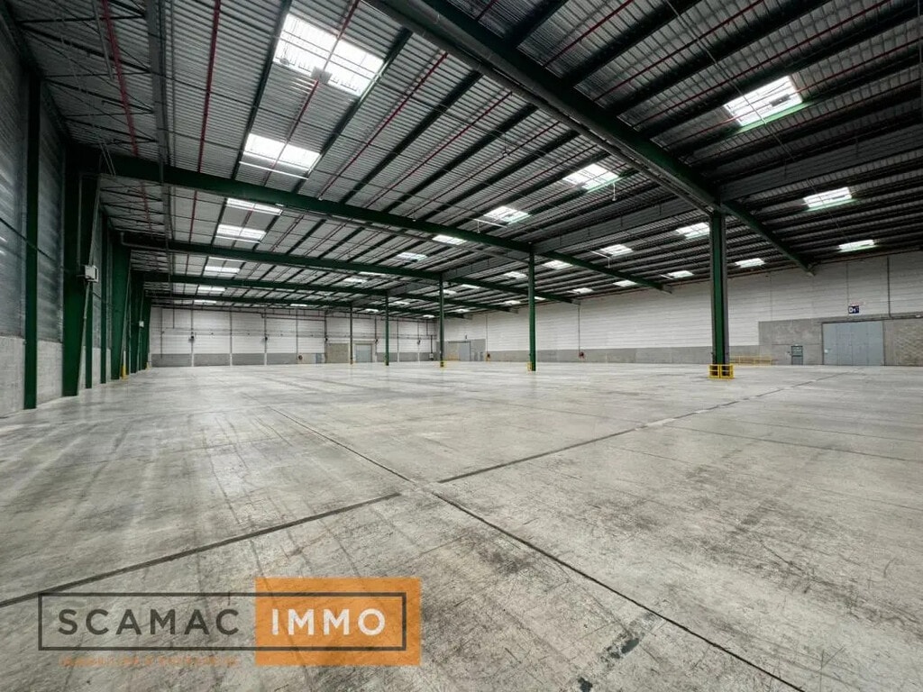 Location Entrepôt 5 991 m² à 6 037 m² - Photo 1