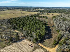 NW Corner CR 1890 & CR 1895, Grapeland, TX for sale Primary Photo- Image 1 of 38