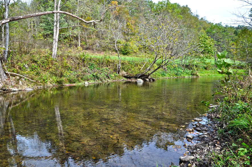 3619 Lonesome Mountain Rd, Marshall, NC for sale - Other - Image 1 of 1