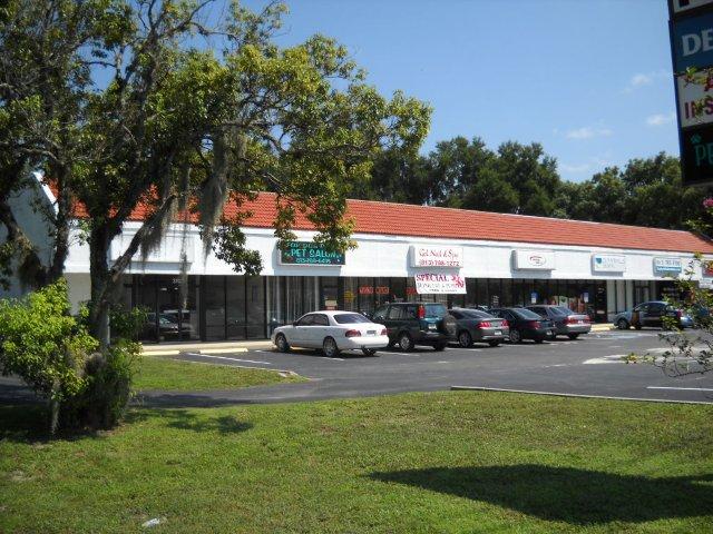 37031-37043 State Road 54, Zephyrhills, FL for rent - Building Photo - Image 2 of 4