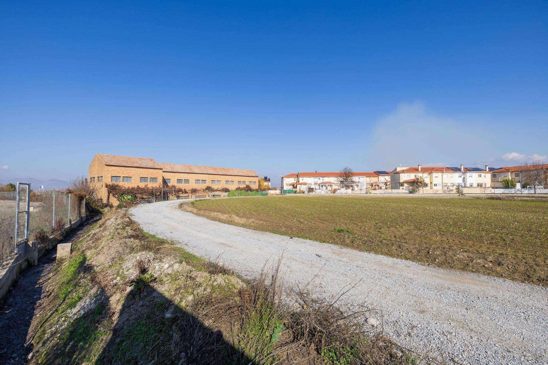 Camino Santa Fe, Vegas del Genil, Granada for sale Primary Photo- Image 1 of 23