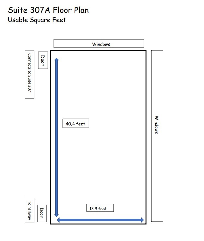 1111 N Wells St, Chicago, IL for rent Floor Plan- Image 1 of 3