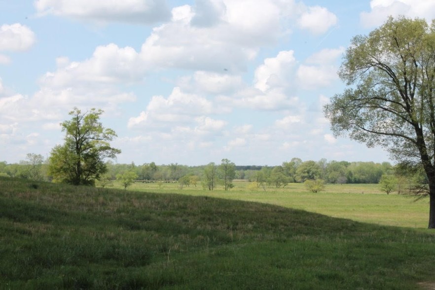 40 Moore Rd, Red Banks, MS for sale - Primary Photo - Image 1 of 1