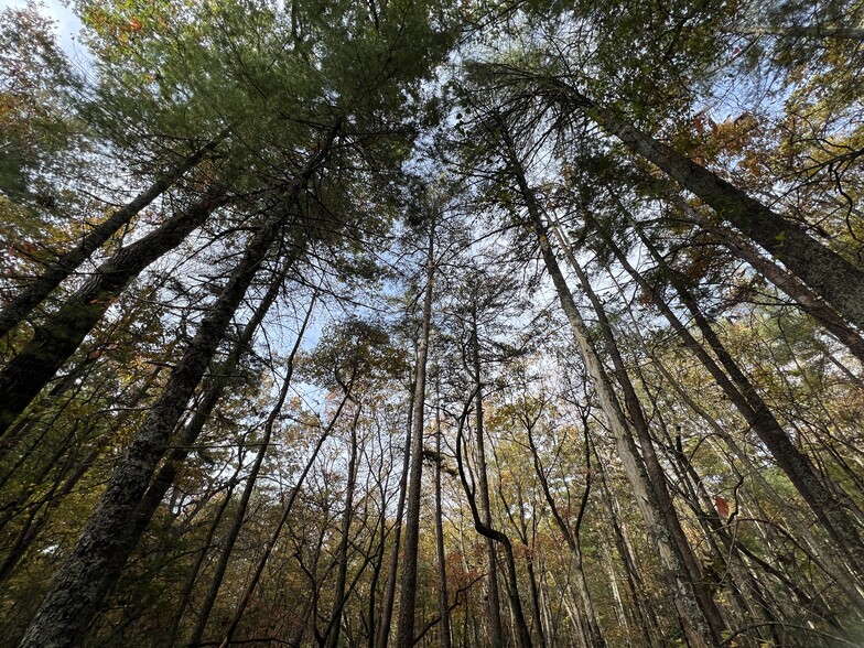 Zion Hill Road, Ellijay, GA for sale - Primary Photo - Image 2 of 13