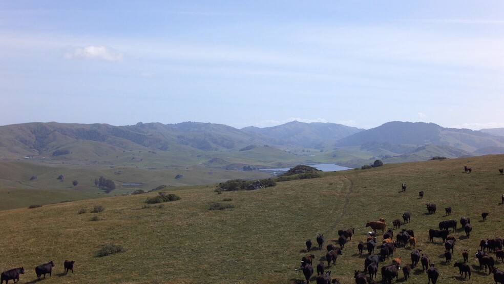 200 Tomasini Canyon Rd, Point Reyes Station, CA for sale - Building Photo - Image 1 of 1