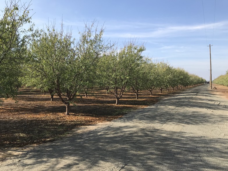 42559 Road 136, Orosi, CA for sale - Other - Image 1 of 1