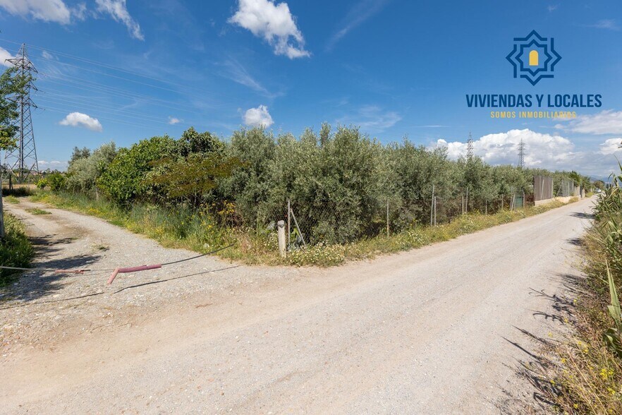 Calle Ramal del Río, Cúllar Vega, Granada for sale - Building Photo - Image 3 of 23