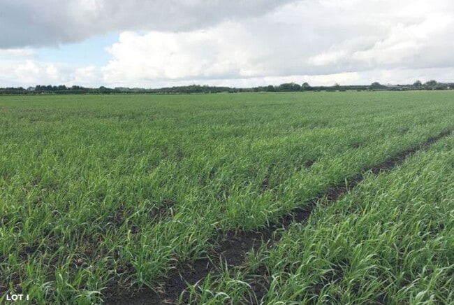 More details for Starham Rd, North Kelsey - Land for Sale