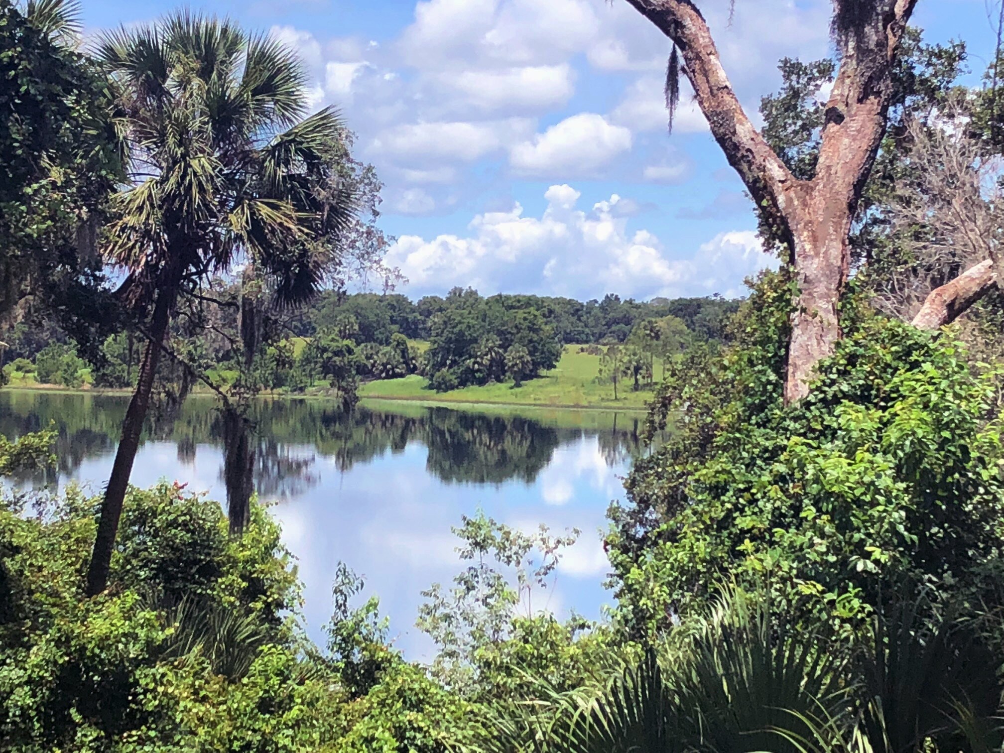 Lake Dias Cemetery Rd, De Leon Springs, FL for sale Other- Image 1 of 1