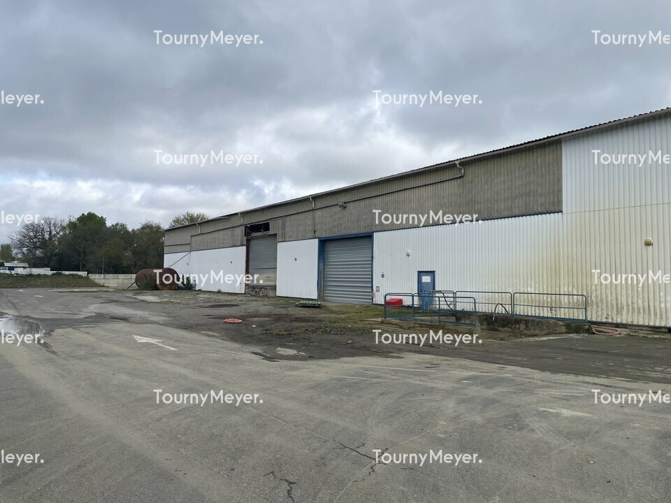Chemin De Bogues, Escalquens to rent Building Photo- Image 1 of 13