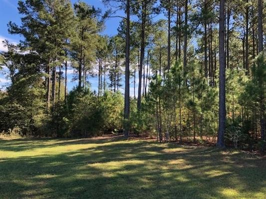 W Lakeshore Dr, Cochran, GA for sale - Other - Image 1 of 14