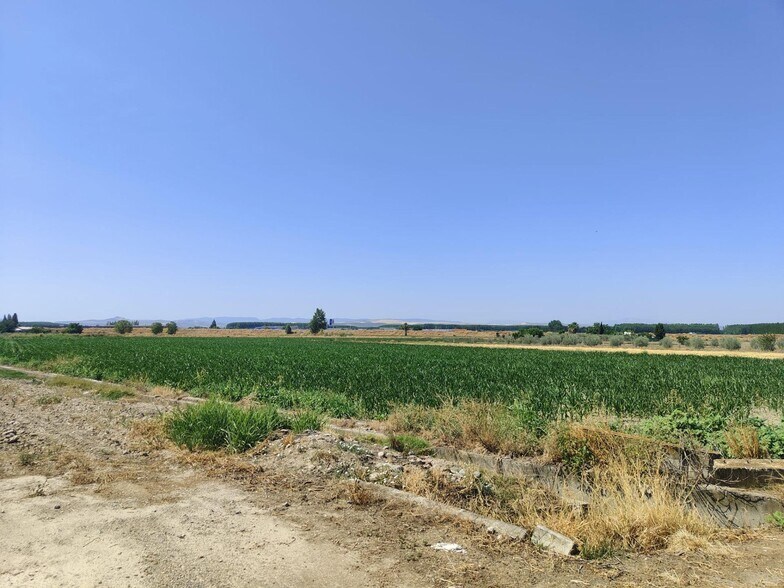 Carretera de Pinos Puente, Atarfe, Granada for sale - Aerial - Image 3 of 7
