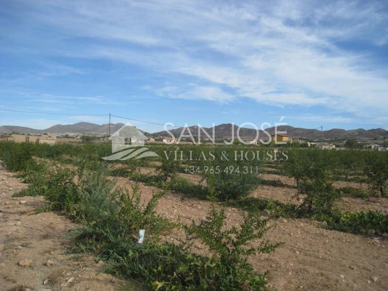 Land in Aspe, Alicante for sale Site Plan- Image 1 of 4