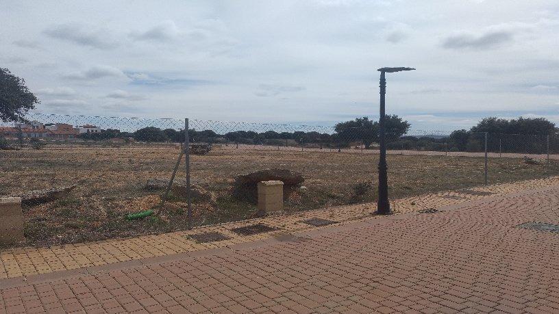 Land in Carrascal de Barregas, Salamanca to rent - Building Photo - Image 2 of 6