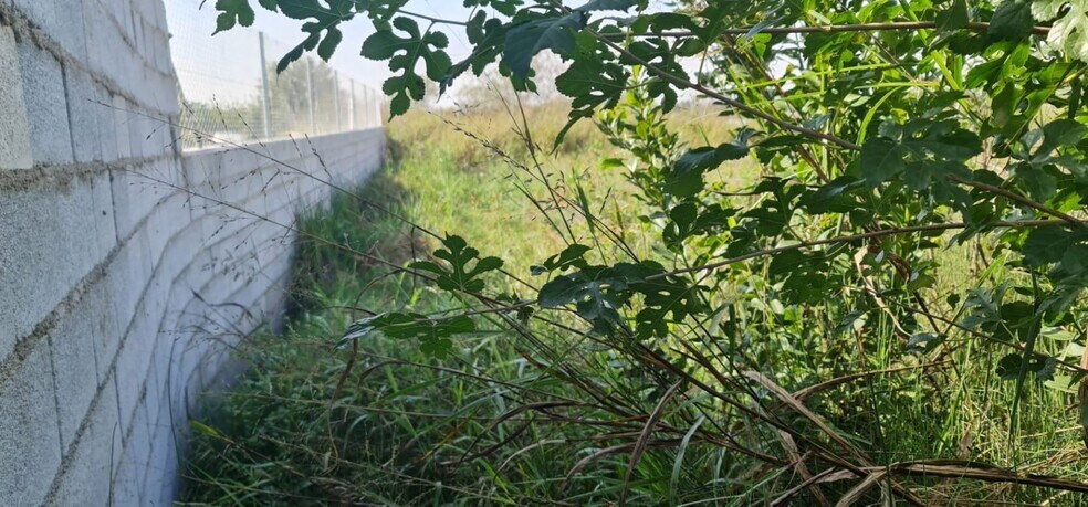 Land in Molina de Segura, Murcia for sale - Building Photo - Image 3 of 4